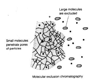 ESCLUSIONE DIMENSIONALE La fase stazionaria è un solido poroso o un gel.