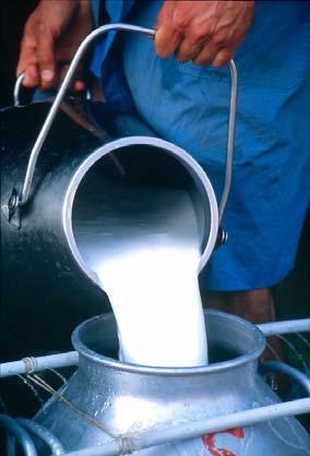 CONVEGNO La selezione delle caseine vere finalizzata all incremento di valore aggiunto per le filiere dei prodotti lattiero caseari Progetto finanziato da Regione Lombardia - Direzione Generale