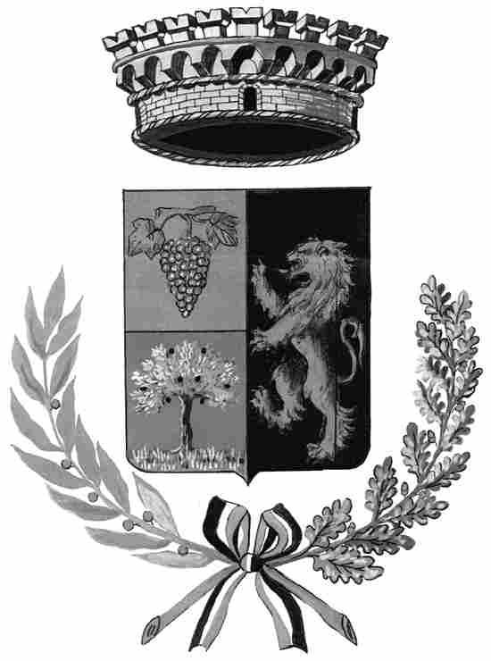 COMUNE DI LIMBADI Provincia di Vibo Valentia TEL.