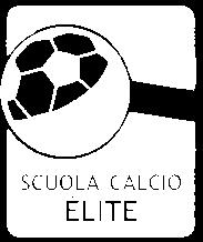 under 14 dal 2006 under 12 dal 2008 under 10 dal 2010) La limitazione è valida solo per la fase provinciale dei campionati Disciplina : Calcio a 5 Calcio a 7 Campionato