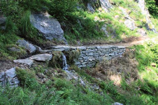 puntuali sulle seguenti tratte: Sistemazione sentiero tra Alpe Cardada e la Bassa di