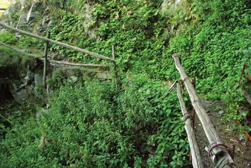 Inoltre è stato posato un nuovo ponte in