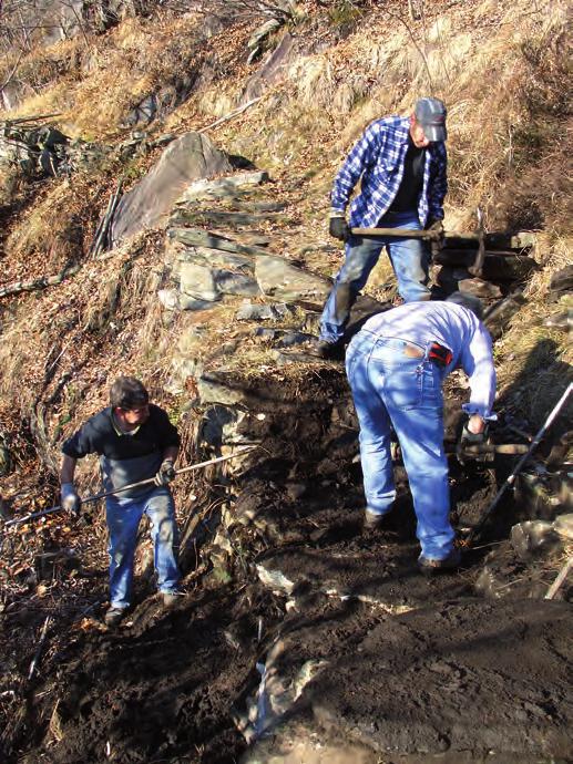 6. Zona Terre di Pedemonte - Losone Oltre ai consueti lavori di