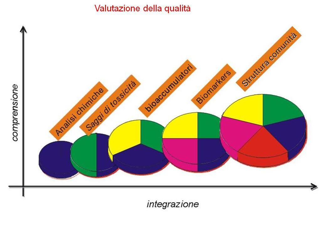 gestione dei sedimenti e l attività di monitoraggio ambientale