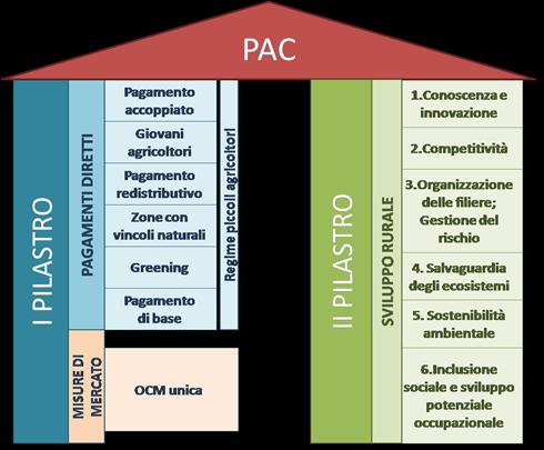 La struttura della PAC La PAC si regge su due Pilastri: il Primo Pilastro caratterizzato dai Pagamenti Diretti e dall Organizzazione Comune dei Mercati (Ocm Unica) il secondo Pilastro che si