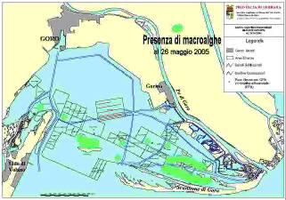 Rilevazione di fioriture macroalgali La tecnologia satellitare è adottata anche per rilevare la presenza di macroalghe nella Sacca