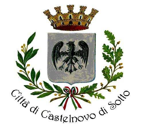 Comune di Castelnovo di Sotto Provincia di Reggio nell Emilia REGOLAMENTO COMUNALE DISCIPLINANTE LA DEFINIZIONE AGEVOLATA DELLE ENTRATE