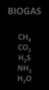 BIOGAS