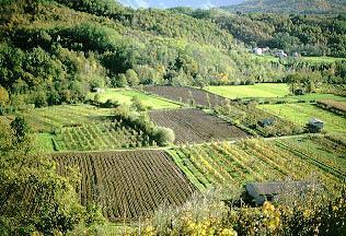 Doppia coltura e Cover Crops