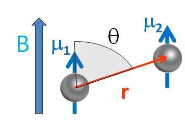 nterazione dipolare l momento magnetico di un nucleo (dipolo magnetico crea un campo magnetico sui nuclei vicini. L interazione dipolare dipende dalla orientazione dei due spins.