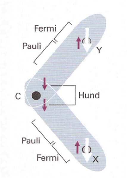 Meccanismo della interazione scalare: L interazione scalare viene mediata dagli elettroni di legame e si basa sulla interazione tra spin nucleari ed elettronici.