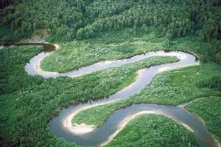 Le forme dei fiumi I fiumi