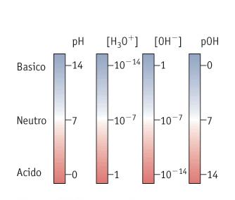 0010 [H O] 14 Anche se calcolata per l acqua pura a 5 C, l