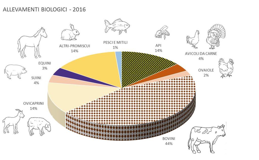 Produzioni biologiche in Emilia-Romagna ZOOTECNIA BIOLOGICA - 2016 Rappresentano il 5% degli allevamenti regionali Per le produzioni animali, particolare interesse si è registrato per la conversione