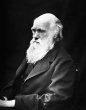 1882) Ovviamente, Darwin Ma perché?