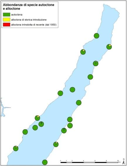 Acerina Specie Laghi in cui è stata campionata Garda Como Iseo Varese Idro Mezzola Gardon X X X X Lucioperca X X X X Pseudorasbora X Rodeo amaro X X X X X Siluro X X Tabella 35.