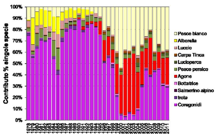 A partire del 1996 è costituito invece prevalentemente dal gardon (Volta et al., 2013) 700.000 Specie pelagiche - pescato annuo (kg) 600.000 500.000 400.