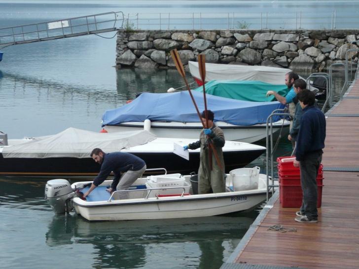 Figura 33. Attività di censimento ittico sul Lago di Mezzola 7.2.1.