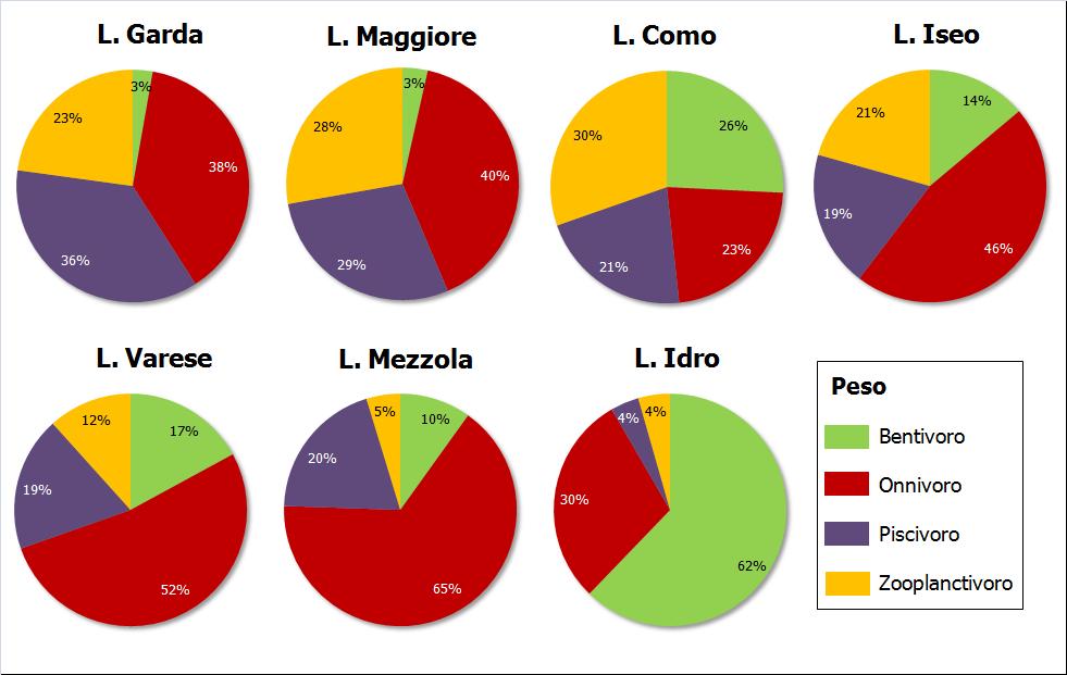 equilibrio tra zooplanctivori, onnivori e ittiofagi, mentre la categoria dei bentofagi risulta poco rappresentata.