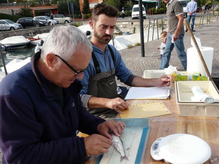 falsando quindi il risultato.