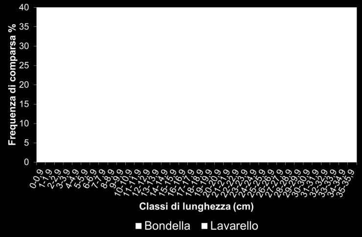 Le lunghezze sono retrocalcolate (da Volta P. 2014. Verifica della selettività delle reti volanti con maglia da 32 e 34 mm nel periodo maggio-luglio 2013 e confronto con risultati 2012.