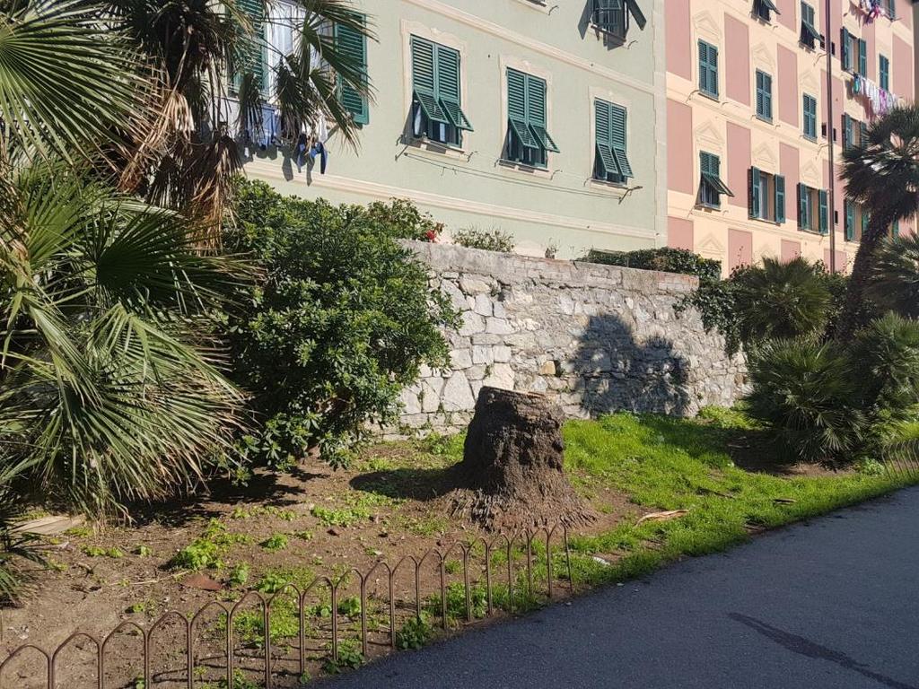 Aiuole di Via Giannelli Quinto Comune di Genova