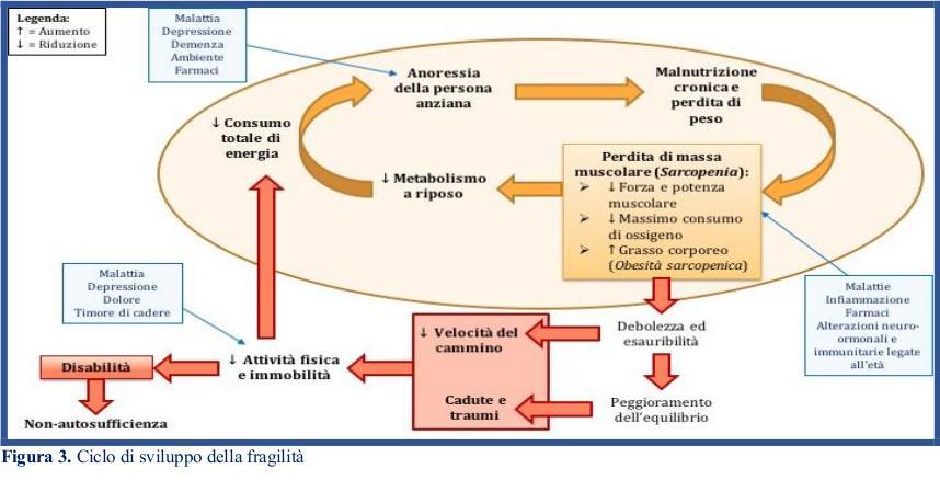 Ciclo di