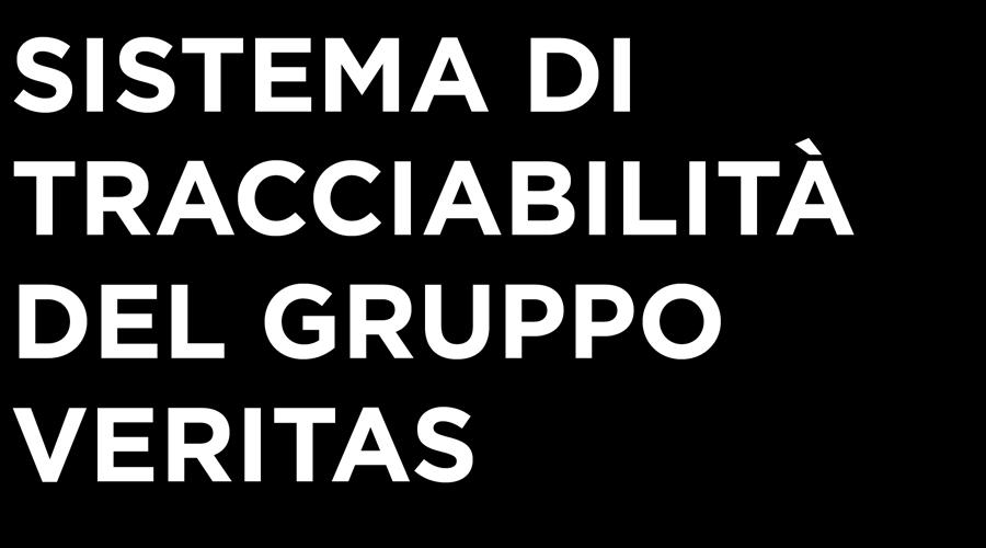 Il modello veneziano per la tracciabilità: SISTEMA DI TRACCIABILITÀ DEL GRUPPO VERITAS CER 080112-150202* - 160121* 160213* - 160214-160304 - 160708* 170101-170201 - 170203-170204* 170603* -