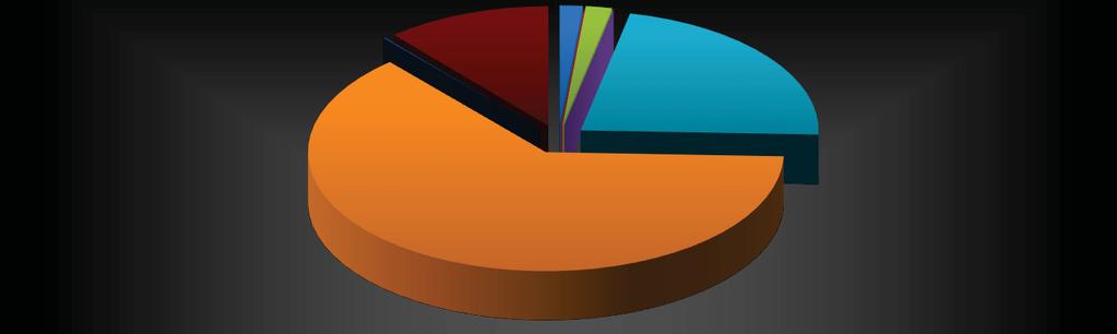 2015) Nella figura sottostante è riportata la distribuzione percentuale dei singoli CER che contribuiscono alla produzione di RAEE nel 2014.