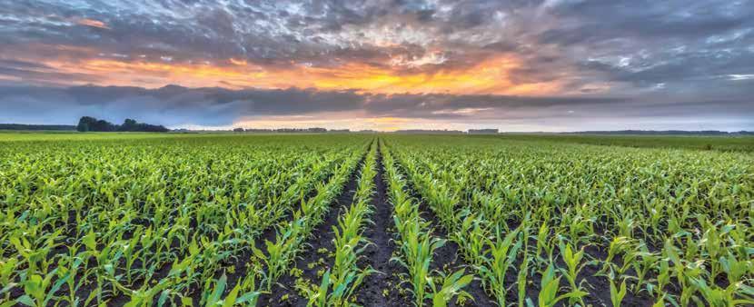 solutions Agricoltura Bonifica