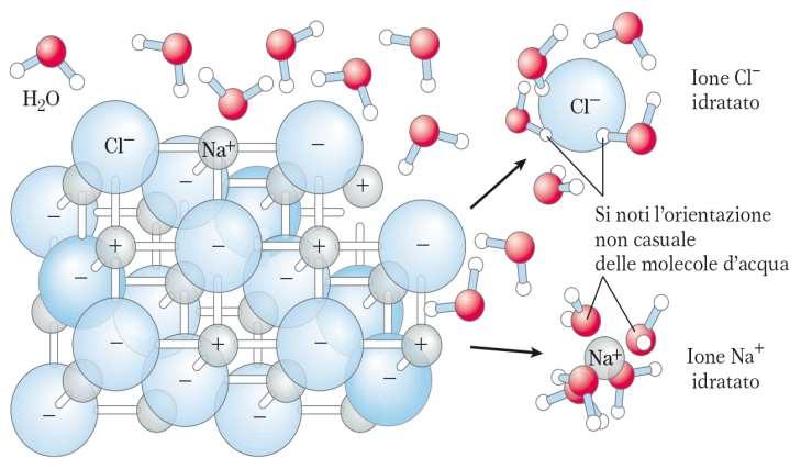 I soluti polari sono dissolti facilmente dall acqua LEGAME IONICO INTERAZIONE ELETTROSTATICA