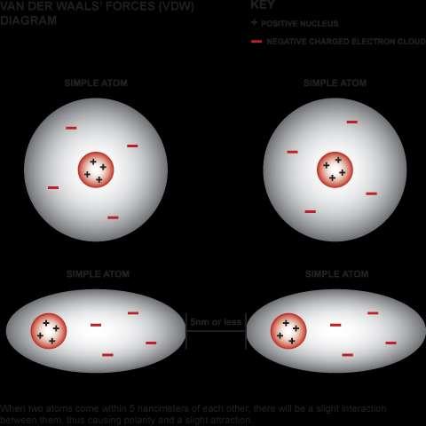 FORZE DI VAN DER WAALS Le variazioni casuali della posizione degli elettroni attorno ad un nucleo possono generare un dipolo elettrico transitorio che a sua volta induce un altro dipolo elettrico