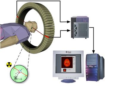 SOMMARIO Motivazione fisica Scelte informatiche Sviluppi effettuati