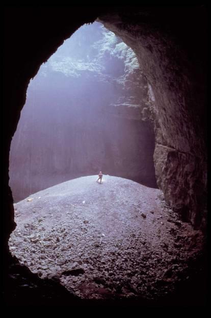 Futura doline di crollo Grotta Noé (Aurisina, TS).