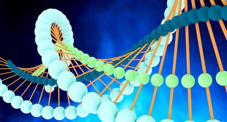 I farmaci Biosimilari sono medicinali biologici autorizzati dall Agenzia Europea dei Medicinali simili per qualità, efficacia e sicurezza al prodotto biologico di