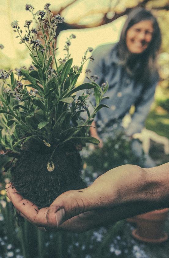 gestione del verde Ci occupiamo di ogni tipo di spazio verde, pubblico o privato: il