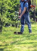 svolgere i servizi di gestione del verde all interno di giardini e parchi urbani, spazi