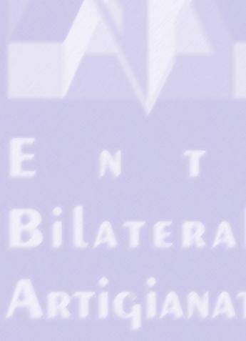 BILATERALITÀ DELL ARTIGIANATO DEL PIEMONTE Un 2011 di svolta nel sistema della bilateralità piemontese con rilevanti novità per lavoratori, imprese e associazioni di categoria.