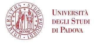 Università degli Studi di Padova Corso Magistrale di Psicologia dello sviluppo e dell educazione Disturbi Pervasivi dello Sviluppo (Disturbi dello spettro dell
