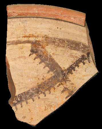 nda metà o fine IV inizi V secolo d.c., e con SPP 17 proveniente dallo scavo, simile a RM 9 dal recupero.