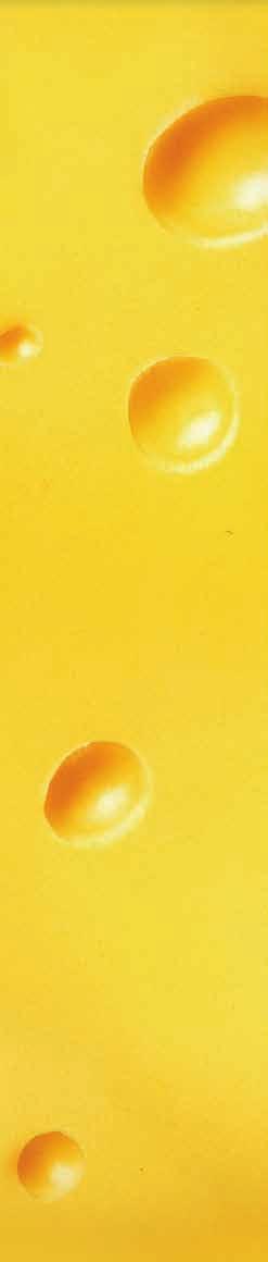 Illustrazioni interne di Sara Copercini (matite), Riccardo Sisti (chine) e Christian Aliprandi (colore). Cartine: Archivio Piemme. Grafica di Merenguita Gingermouse e Sara Baruffaldi.