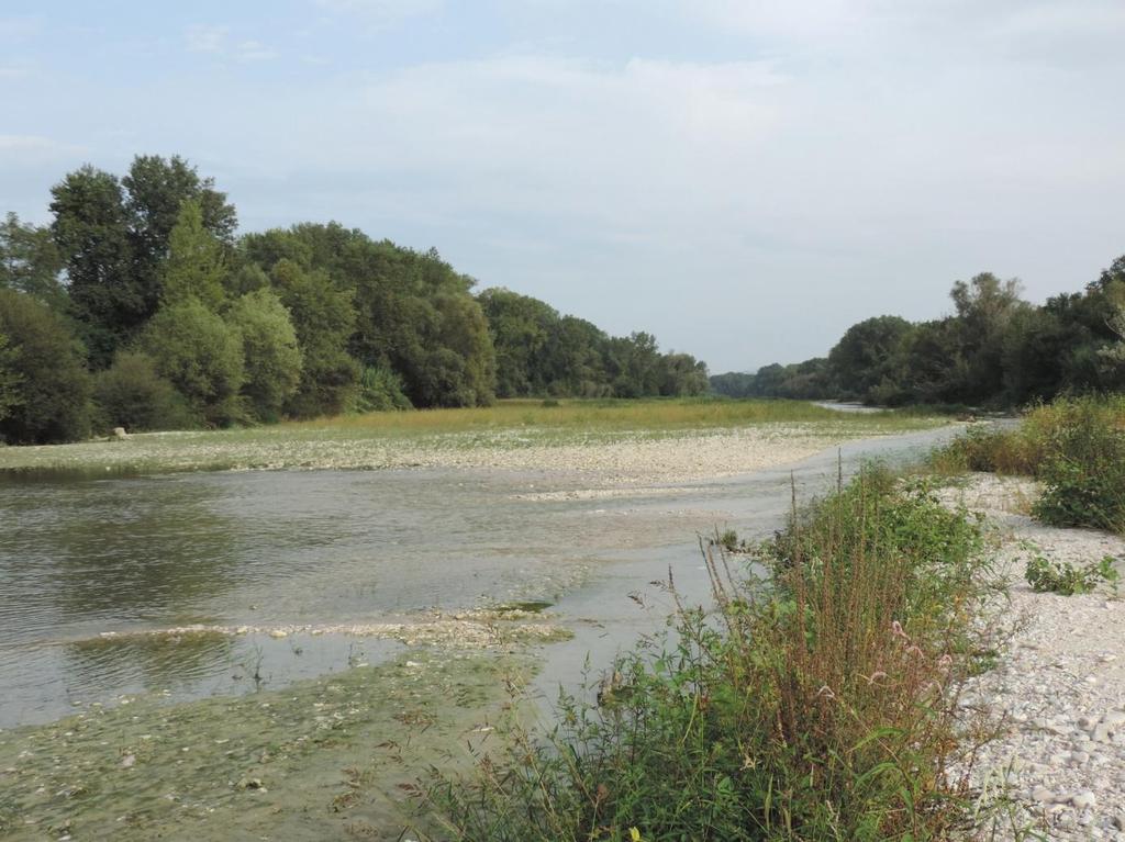 gestione dei corsi d acqua.