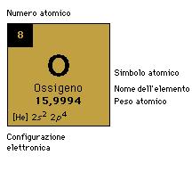 numero atomico Simbolo C O N P S Na Cl K Elemento idrogeno carbonio ossigeno azoto fosforo zolfo sodio cloro potassio massa atomica Alcuni atomi hanno