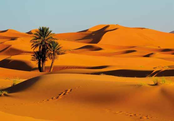 assaggio del Marocco. Ceniamo in hotel. - OUARZAZATE - BOUMALNE DU DADES KM 330 Incontriamo i nostri 4x4 e partiamo da Marrakech in direzione Sud, inoltrandoci subito tra le vallate dell Alto Atlante.