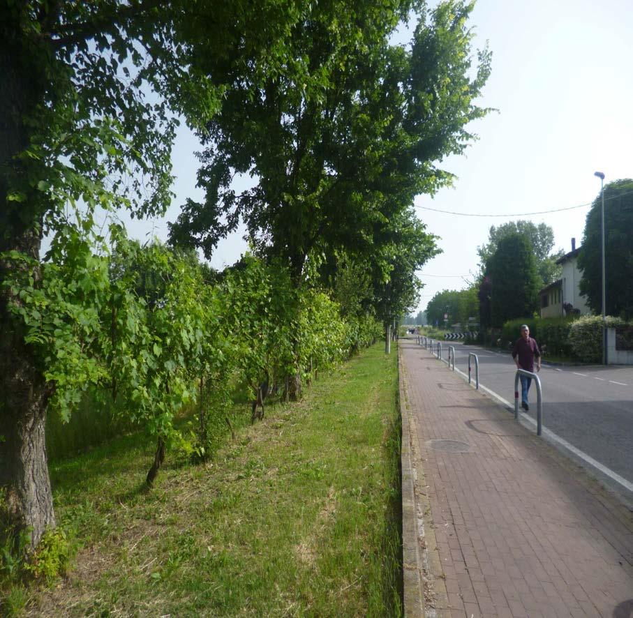 PRIMA TAPPA: VIA PRATI La strada costeggia il canal Torbido, l