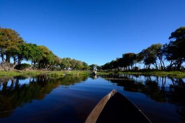 Breve spiegazione da parte della guida locale che vi accompagnerà durante l escursione, durante la quale potrete effettuare anche una piacevole camminata nel bush. Rientro a Maun nel tardo pomeriggio.