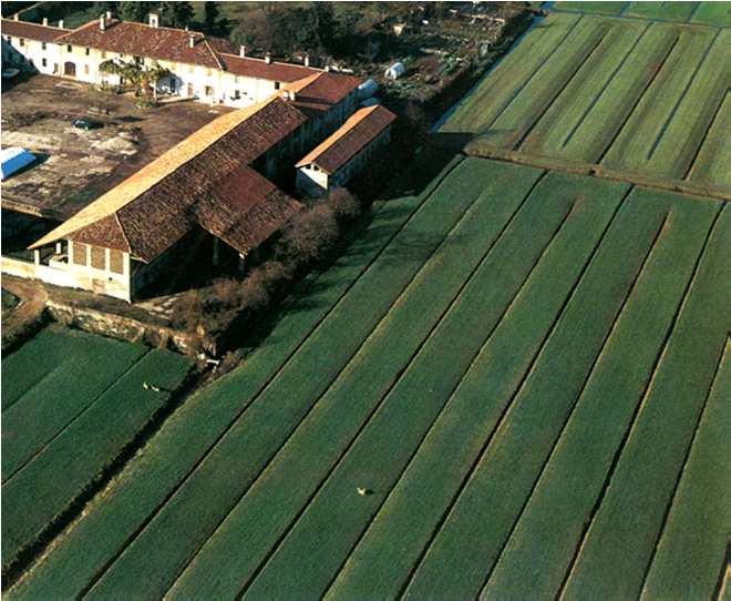 agricolo a valle della città coltivato a marcita.