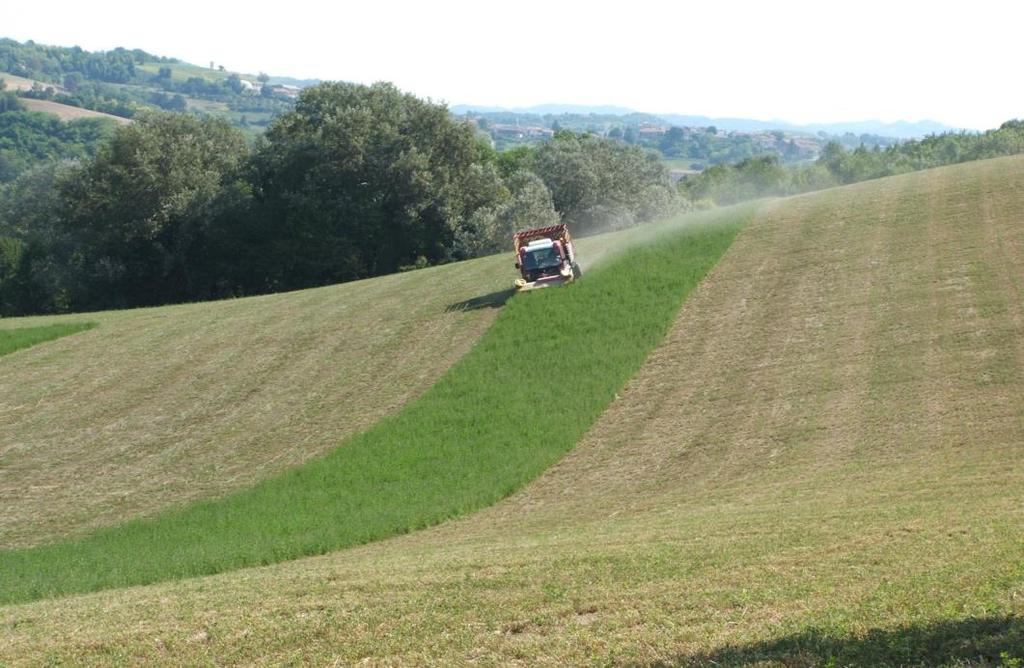 Le colture di integrazione per i biocarburanti avanzati Ad ogni areale agroecologico la sua rotazione ideale