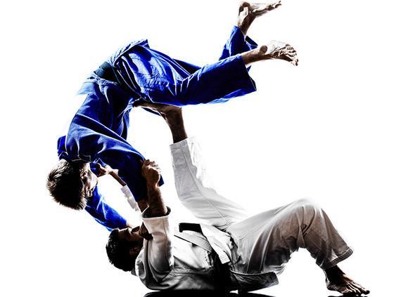 Comitato Regionale Judo