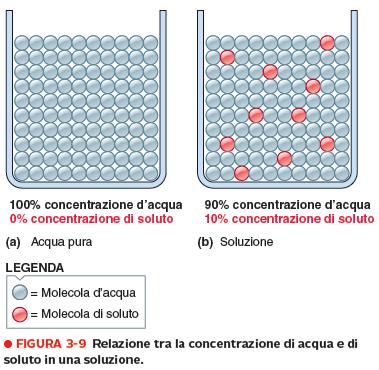 Movimento dell acqua tra il LEC e il